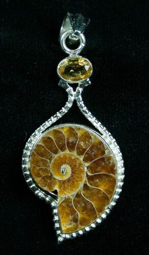 Stylish Ammonite Pendant - Sterling Silver #4711